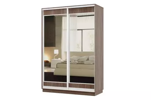 Шкаф-купе 2-дверный Практик МИНИ