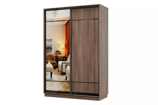 Шкаф-купе 2-дверный Практик МИНИ