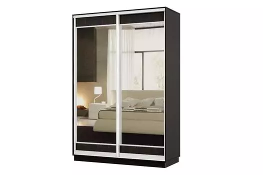 Шкаф-купе 2-дверный Практик МИНИ