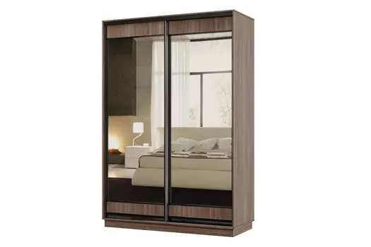 Шкаф-купе 2-дверный Практик МИНИ