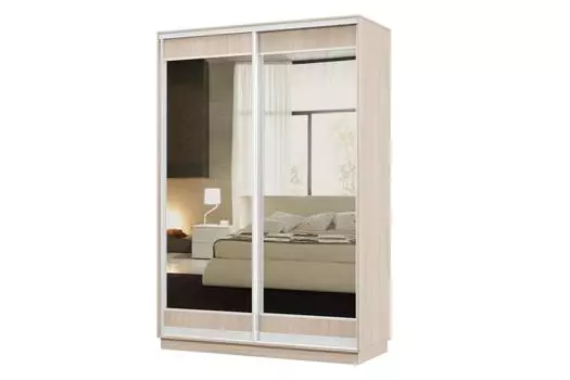 Шкаф-купе 2-дверный Практик МИНИ