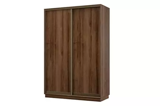 Шкаф-купе 2-дверный Практик МИНИ