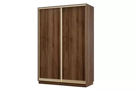 Шкаф-купе 2-дверный Практик МИНИ