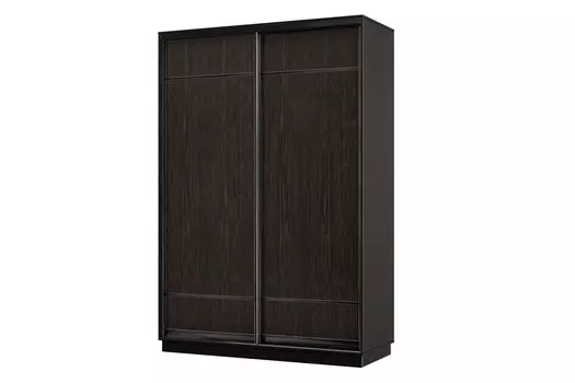 Шкаф-купе 2-дверный Практик МИНИ