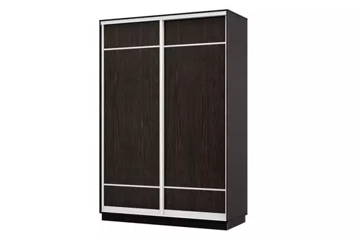 Шкаф-купе 2-дверный Практик МИНИ