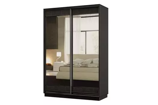 Шкаф-купе 2-дверный Практик МИНИ