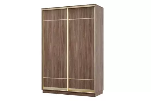 Шкаф-купе 2-дверный Практик МИНИ