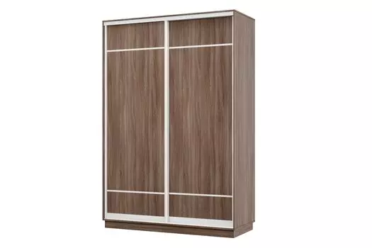 Шкаф-купе 2-дверный Практик МИНИ