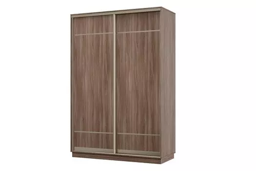 Шкаф-купе 2-дверный Практик МИНИ