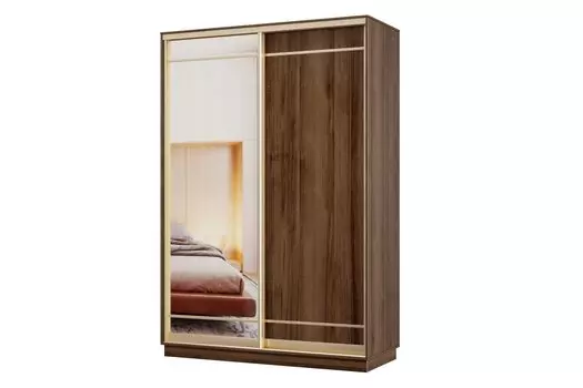 Шкаф-купе 2-дверный Практик МИНИ