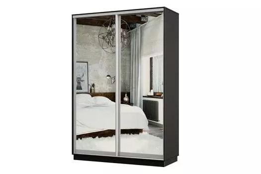 Шкаф-купе 2-дверный Практик МИНИ