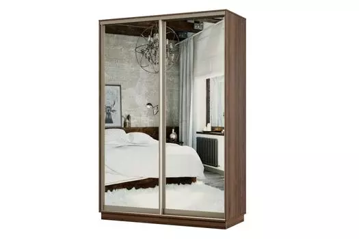 Шкаф-купе 2-дверный Практик МИНИ