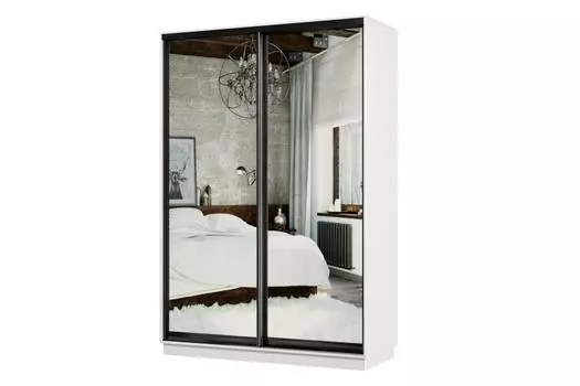 Шкаф-купе 2-дверный Практик МИНИ