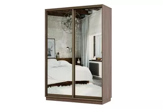 Шкаф-купе 2-дверный Практик МИНИ