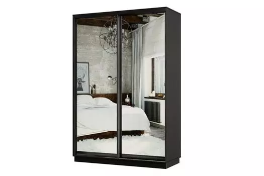 Шкаф-купе 2-дверный Практик МИНИ