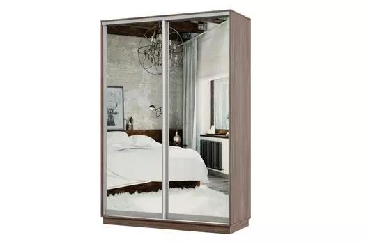 Шкаф-купе 2-дверный Практик МИНИ