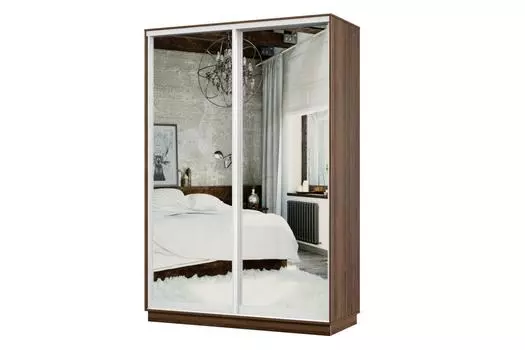 Шкаф-купе 2-дверный Практик МИНИ