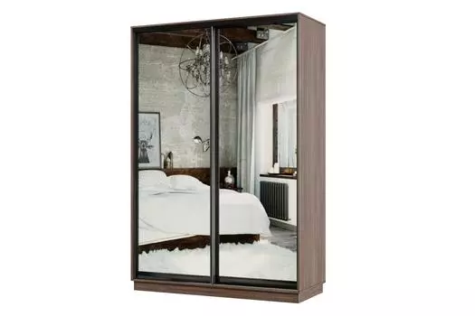 Шкаф-купе 2-дверный Практик МИНИ