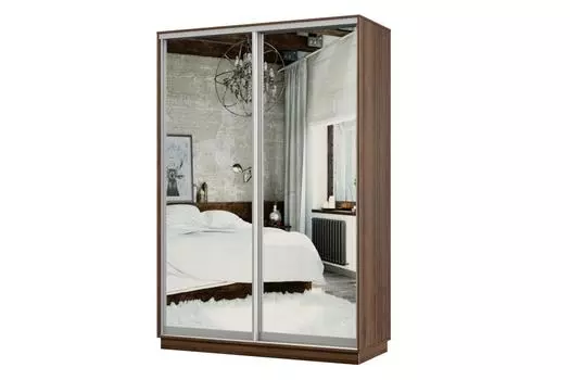 Шкаф-купе 2-дверный Практик МИНИ