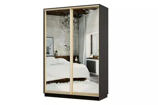 Шкаф-купе 2-дверный Практик МИНИ