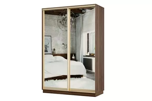 Шкаф-купе 2-дверный Практик МИНИ