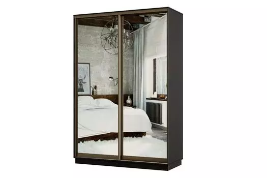 Шкаф-купе 2-дверный Практик МИНИ