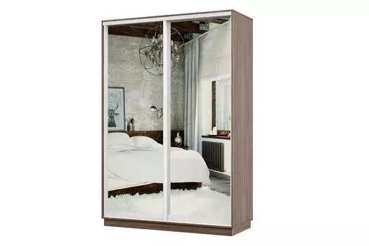 Шкаф-купе 2-дверный Практик МИНИ