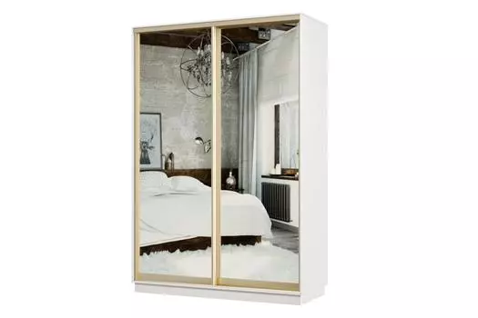 Шкаф-купе 2-дверный Практик МИНИ