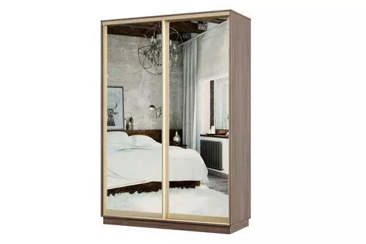 Шкаф-купе 2-дверный Практик МИНИ