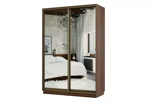 Шкаф-купе 2-дверный Практик МИНИ