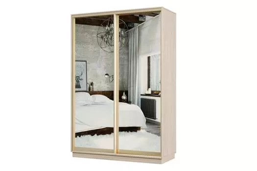 Шкаф-купе 2-дверный Практик МИНИ