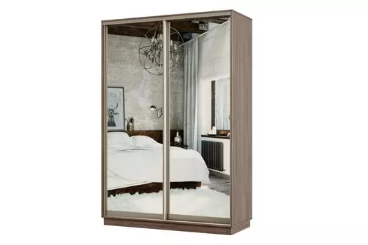 Шкаф-купе 2-дверный Практик МИНИ