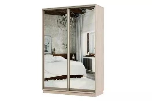 Шкаф-купе 2-дверный Практик МИНИ