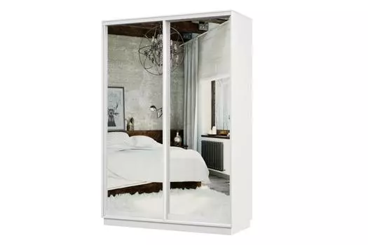 Шкаф-купе 2-дверный Практик МИНИ