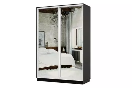 Шкаф-купе 2-дверный Практик МИНИ