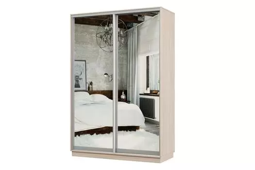 Шкаф-купе 2-дверный Практик МИНИ