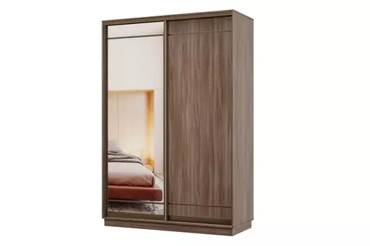 Шкаф-купе 2-дверный Практик МИНИ