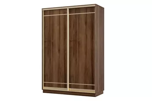 Шкаф-купе 2-дверный Практик МИНИ