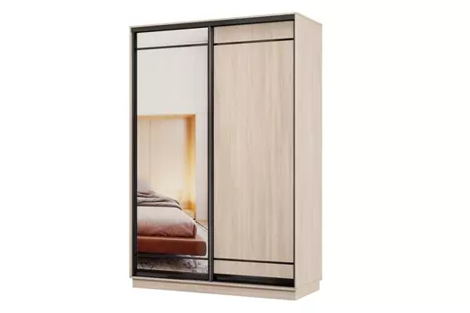 Шкаф-купе 2-дверный Практик МИНИ