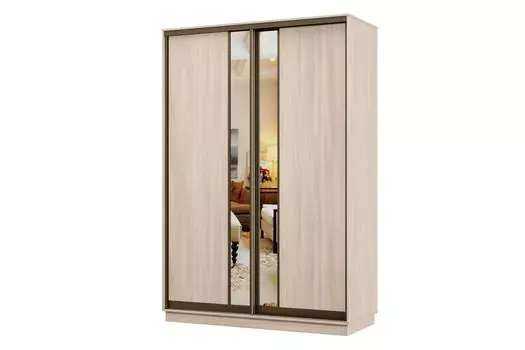 Шкаф-купе 2-дверный Практик Мини
