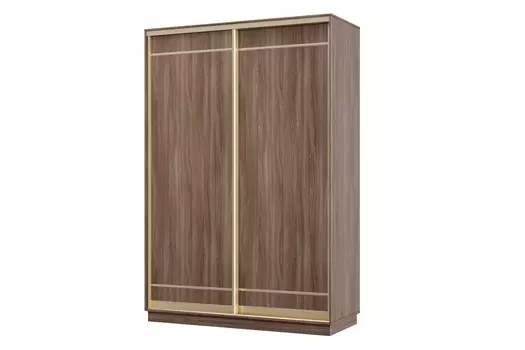 Шкаф-купе 2-дверный Практик МИНИ