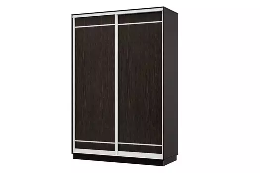 Шкаф-купе 2-дверный Практик МИНИ