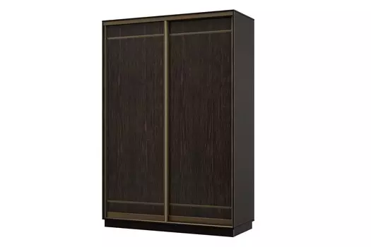 Шкаф-купе 2-дверный Практик МИНИ