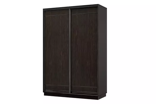 Шкаф-купе 2-дверный Практик МИНИ