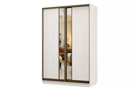 Шкаф-купе 2-дверный Практик Мини