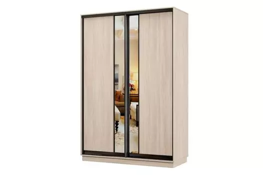 Шкаф-купе 2-дверный Практик Мини