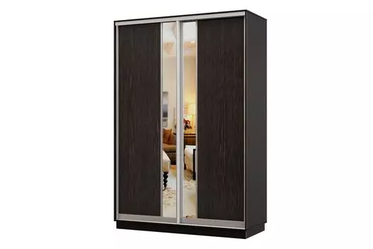 Шкаф-купе 2-дверный Практик Мини