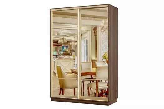 Шкаф-купе 2-дверный Практик Мини