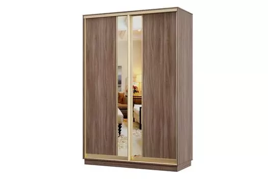 Шкаф-купе 2-дверный Практик Мини