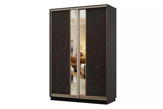 Шкаф-купе 2-дверный Практик Мини